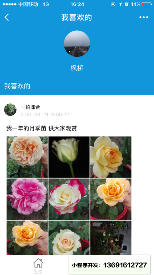 枫桥居花卉小程序截图