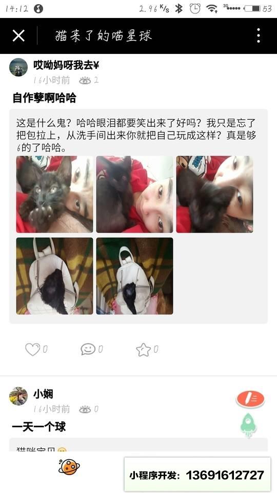 猫来了的喵星球小程序截图