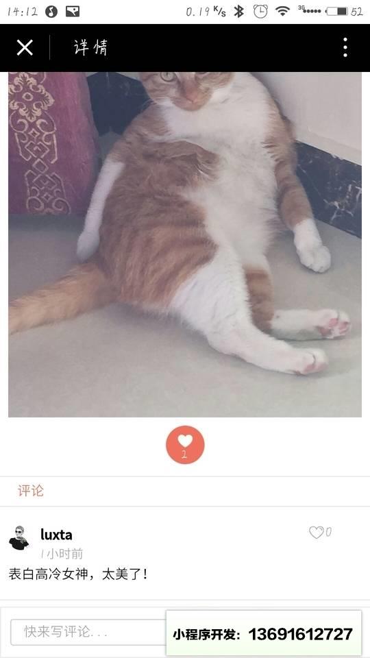 猫来了的喵星球小程序截图